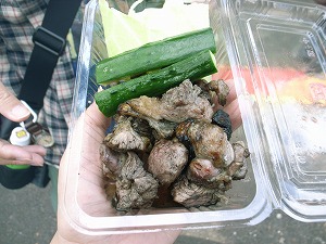 九州フェア in 代々木公園2008